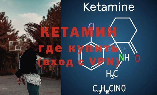 гашик Губаха