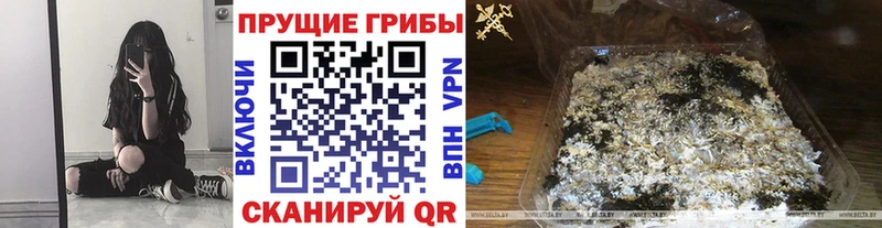 Галлюциногенные грибы мицелий  Кинешма 